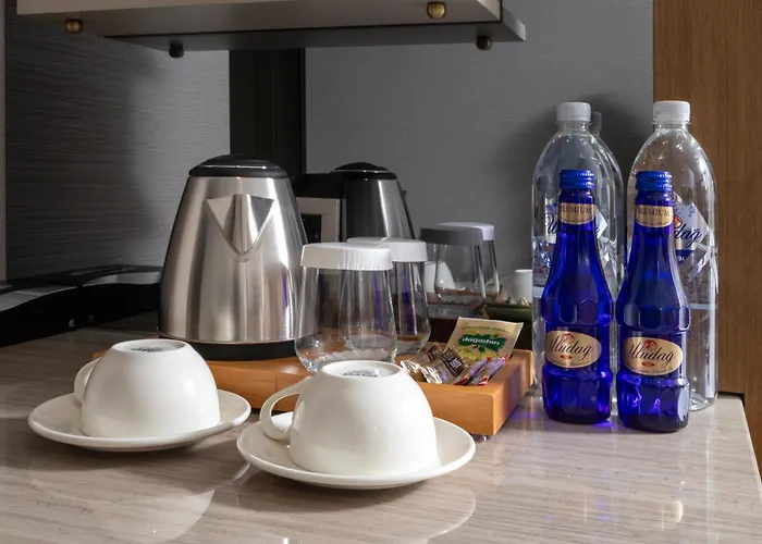 Bentley Old City-special Class Hotel